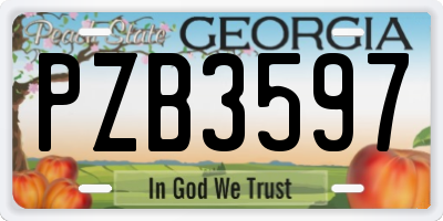 GA license plate PZB3597