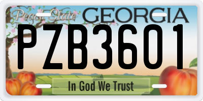 GA license plate PZB3601