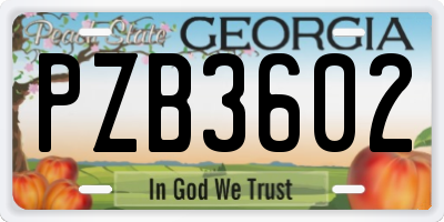 GA license plate PZB3602