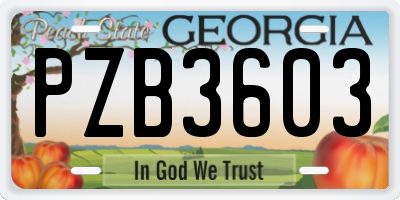 GA license plate PZB3603