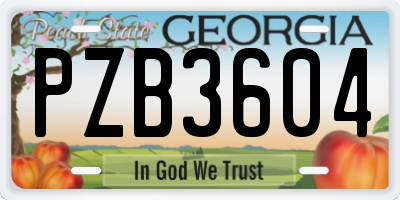 GA license plate PZB3604