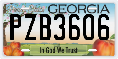 GA license plate PZB3606