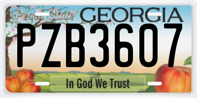 GA license plate PZB3607