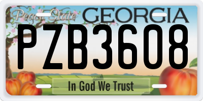 GA license plate PZB3608