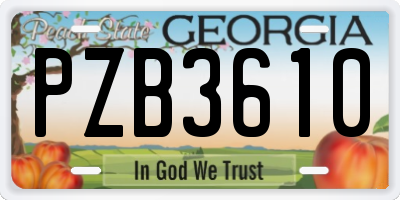 GA license plate PZB3610