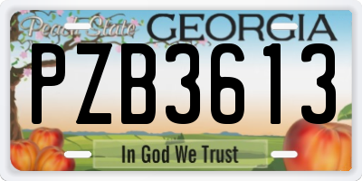 GA license plate PZB3613