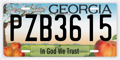 GA license plate PZB3615