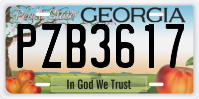 GA license plate PZB3617