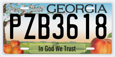 GA license plate PZB3618