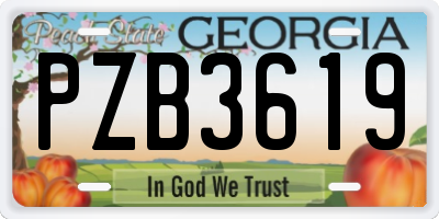 GA license plate PZB3619