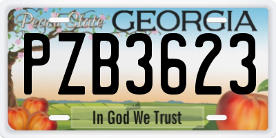 GA license plate PZB3623