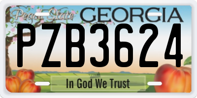 GA license plate PZB3624
