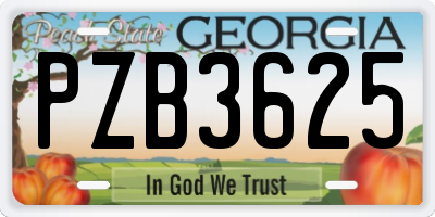 GA license plate PZB3625