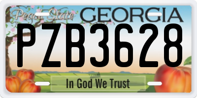 GA license plate PZB3628