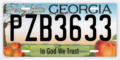 GA license plate PZB3633