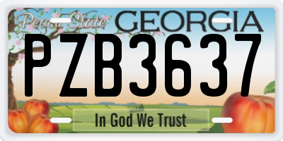 GA license plate PZB3637