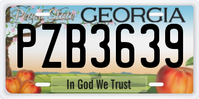 GA license plate PZB3639