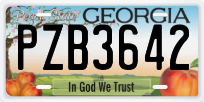 GA license plate PZB3642