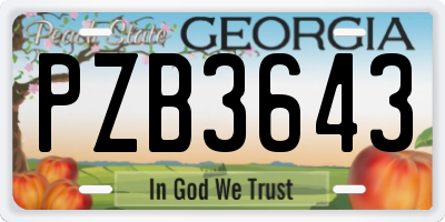 GA license plate PZB3643
