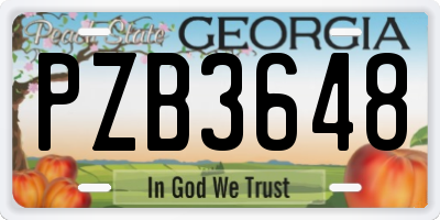 GA license plate PZB3648