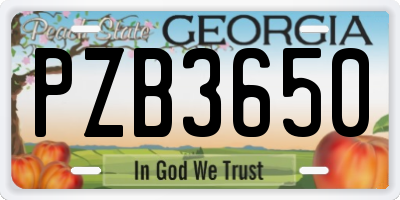 GA license plate PZB3650