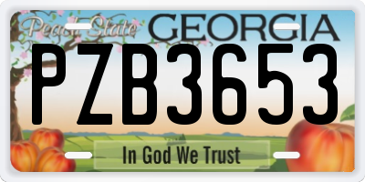GA license plate PZB3653