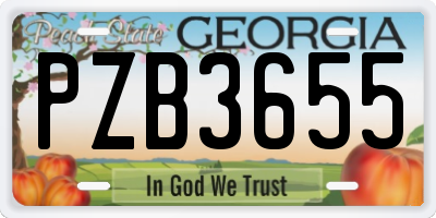 GA license plate PZB3655