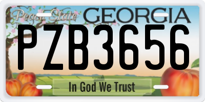 GA license plate PZB3656