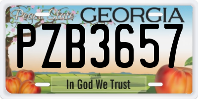 GA license plate PZB3657