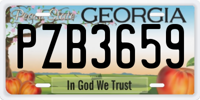 GA license plate PZB3659