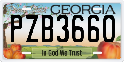 GA license plate PZB3660