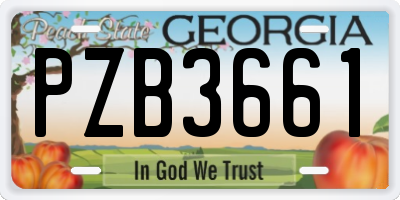 GA license plate PZB3661