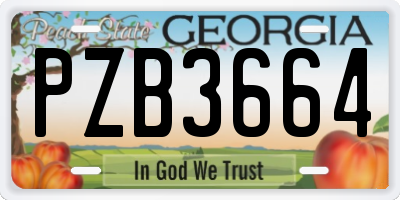 GA license plate PZB3664