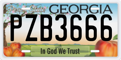 GA license plate PZB3666