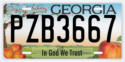 GA license plate PZB3667