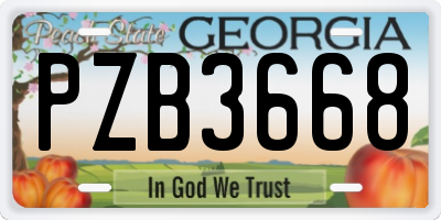 GA license plate PZB3668