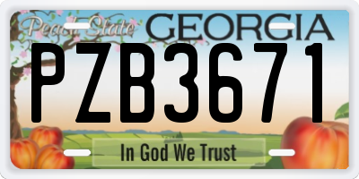 GA license plate PZB3671
