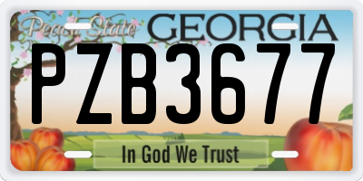 GA license plate PZB3677
