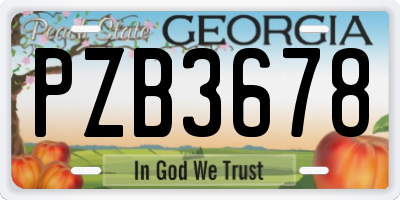 GA license plate PZB3678