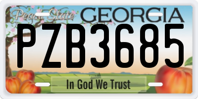 GA license plate PZB3685
