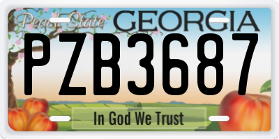 GA license plate PZB3687