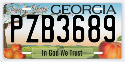 GA license plate PZB3689