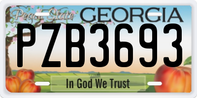 GA license plate PZB3693