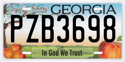 GA license plate PZB3698