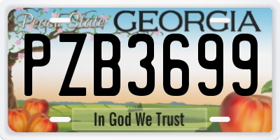 GA license plate PZB3699