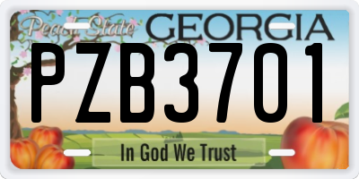 GA license plate PZB3701