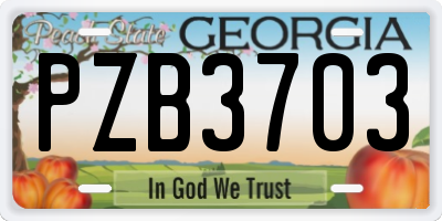 GA license plate PZB3703