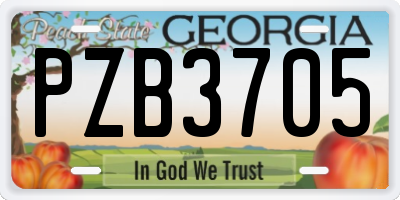 GA license plate PZB3705