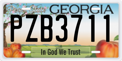 GA license plate PZB3711