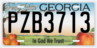 GA license plate PZB3713